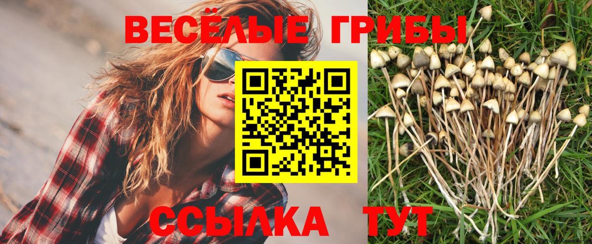 Псилоцибиновые грибы мухоморы Сыктывкар