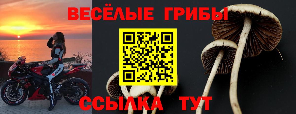 Сыктывкар  Галлюциногенные грибы GOLDEN TEACHER  Вход с VPN 